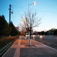 xxxxxxxxxxxxxxxxxxxx头像