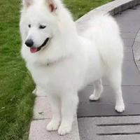 用户357186338664头像