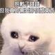 free宝来头像