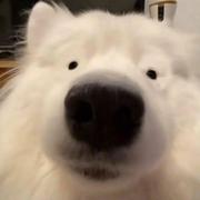 曳影075的个人资料头像