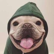 YuH4ngZh的个人资料头像