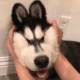 FlYnK头像