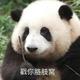 P阿西吧头像