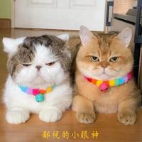 学习学习休息休息吧头像
