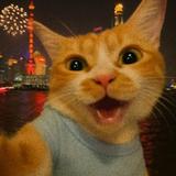 郭先生你好帅气头像