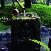 凌枫158的个人资料头像