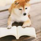 贪吃小明的个人资料头像