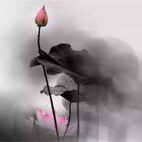 长安小灰灰头像