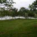 sea君53959的个人资料头像