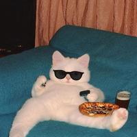 阿玲玩奔驰头像