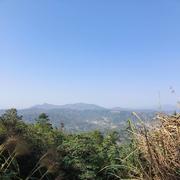 起风了的个人资料头像