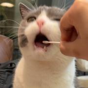 贝蒂小熊的个人资料头像