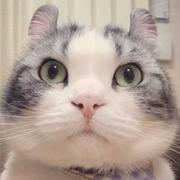 Ytian的个人资料头像