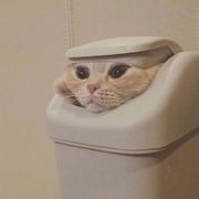 往涂的个人资料头像