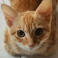 木木水水彬头像