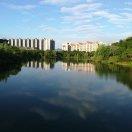 随心而动爱学习105464的个人资料头像