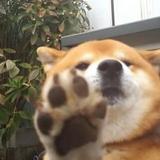 用户2388137871597头像