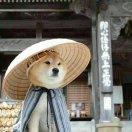 Arthur63的个人资料头像