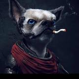 Society丶你斌哥头像