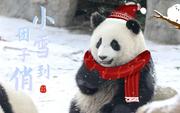 今天敲代码了ma的个人资料头像