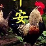 867939chj头像