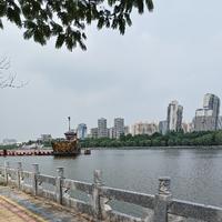 力哥零开始买车头像