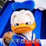 大馅饺子190头像