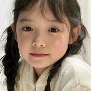 山上的树的个人资料头像