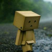 Zer兔子老公头像