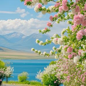 光尘视界娱评头像