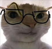 鼻炎怪人齐泽克的个人资料头像