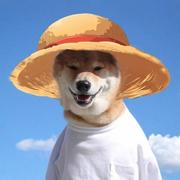 向阳77的个人资料头像