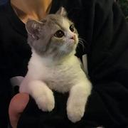 Bw的个人资料头像