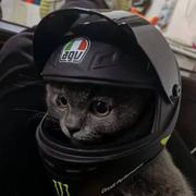 Nuyoah916的个人资料头像