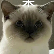 柠檬乖乖的个人资料头像