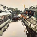 刘小刘749头像