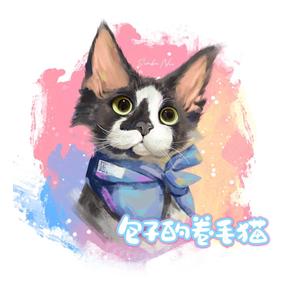 包子的德文头像