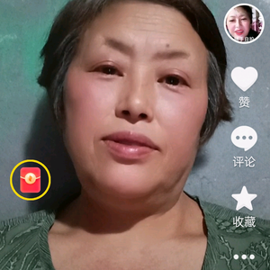 凤凰，2头像