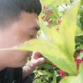 年少轻狂小波波头像