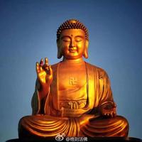 督督头像