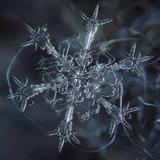暮星1379头像