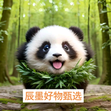 辰墨好物甄选头像