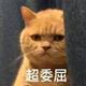 黑色行动黑甲头像