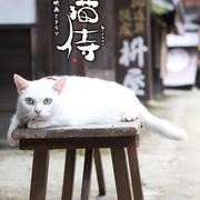 EasyValley的个人资料头像