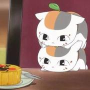 墨辞208的个人资料头像