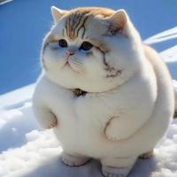 糊涂吃美食头像