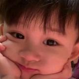 猪猪～头像