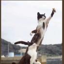 澄三彩的个人资料头像