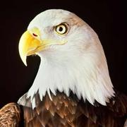 harry572的个人资料头像