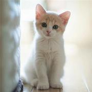 沫沫935的个人资料头像